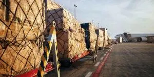 Growth and transformation: That’s the future of international freight forwarding and logistics in 2025, says BIFA