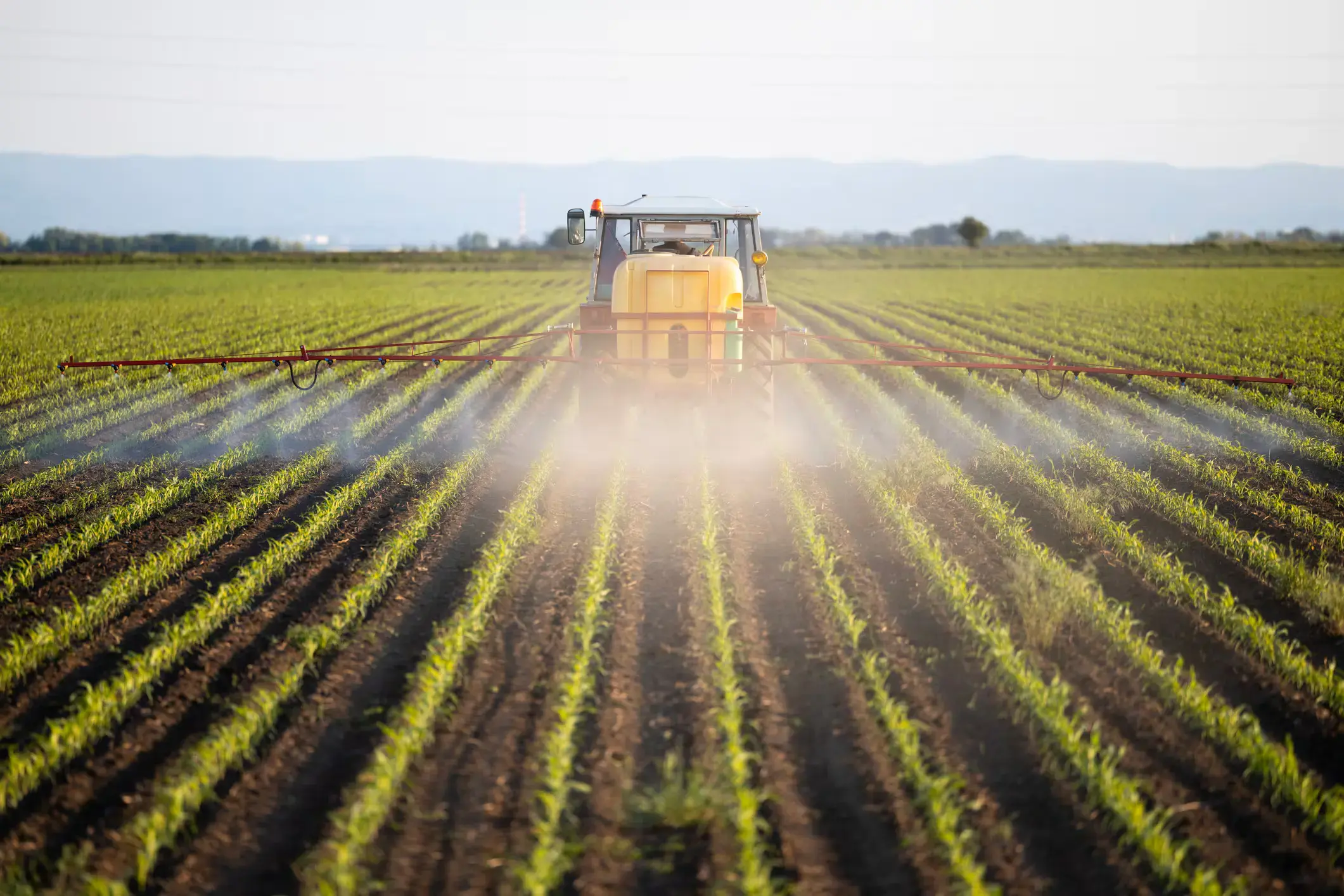 Australia Stockpiles 90,000 Tonnes of Urea Amid Middle East Supply Crisis