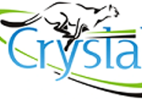 company-logo